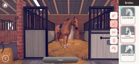 Equestrian the Game