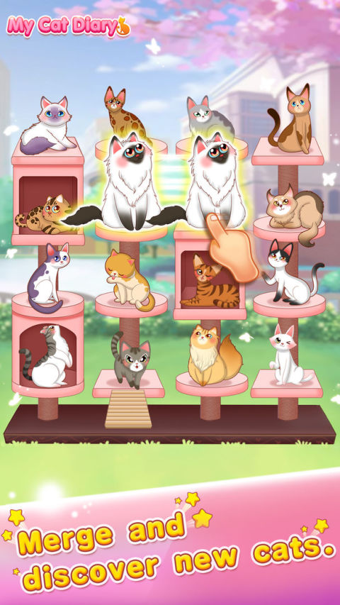 貓咪日記 - 動漫公主換裝