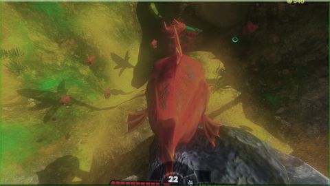 feed Fish And grow Adventure