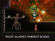 Toziuha Night - Order of the Alchemists