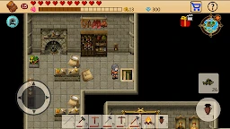 生存RPG：開放像素世界