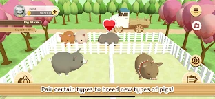 養豬場3D | 英文版