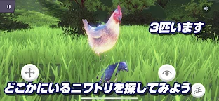 ハトバース｜鳩のメタバース
