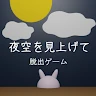 逃脫遊戲仰望夜空