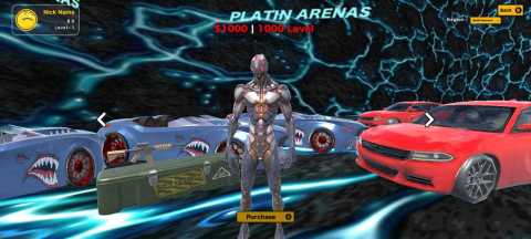 PLATIN Arenas