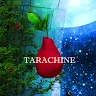 逃脫遊戲：TARACHINE