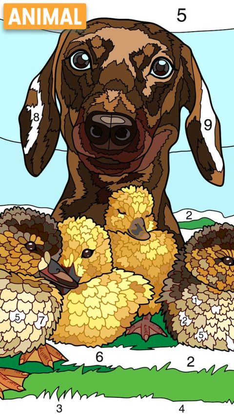 Tap Color Lite - Free Paint by Number Game