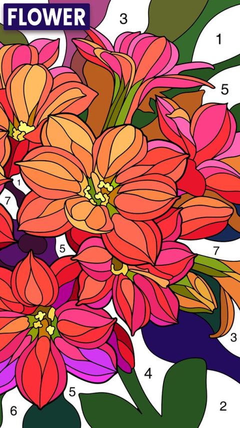 Vibrant Free Paint By Number Game Abstract for Desktop