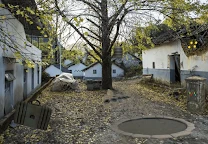 逃脫遊戲：神秘之路