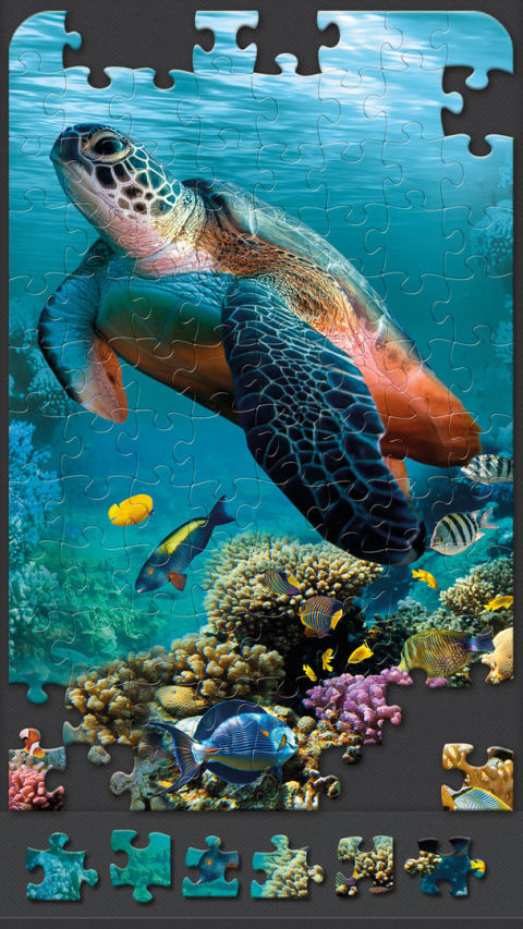 Jigsaw Puzzles for Adults HD