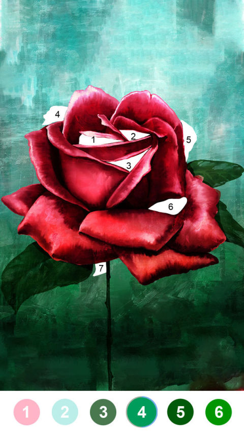 Fancy Color - Paint By Number