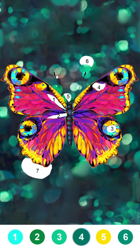 Fancy Color - Paint By Number