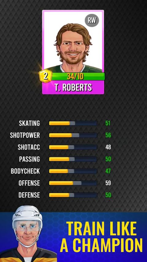 Superstar Hockey: Pass & Score