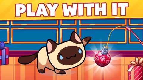 Cat Game - The Cats Collector!