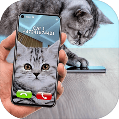 Joke Video Call to Cat