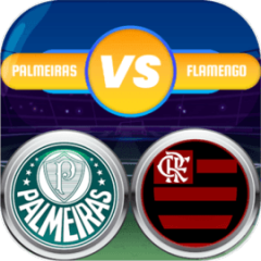 Brazilian Championship Game
