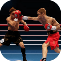 Real Punch Boxing Games 3d