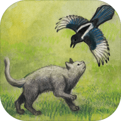 Milo and the Magpies