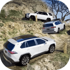Offroad Fortuner car Driving
