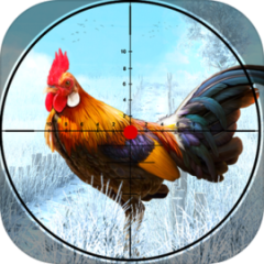 Chicken Shooting Hunting Games