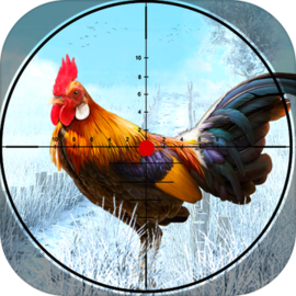 Chicken Shooting Hunting Games