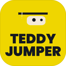 Teddy Jumper