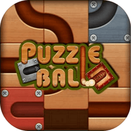Puzzle Ball