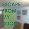 逃出我的房間