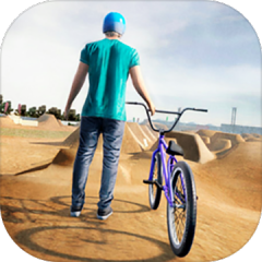 King Of Dirt: BMX