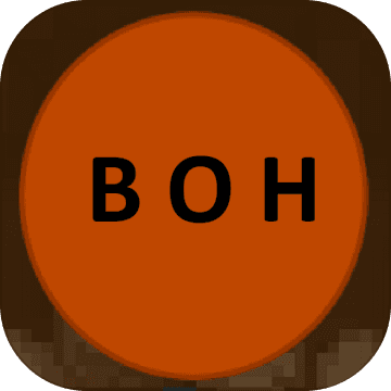 Puzzles of Boh