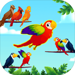 Bird Sort - Color Birds Game