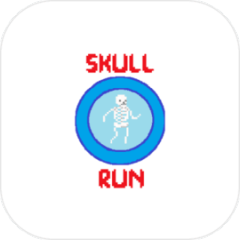 Skull Run