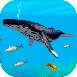 Blue Whale Survival Challenger