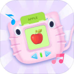 Talking Flash Cards Toys