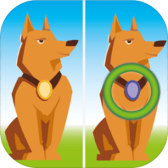 Find The Difference - Spot It