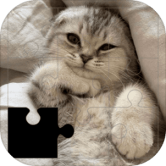 Wonderful Cat Puzzles