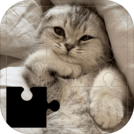 Wonderful Cat Puzzles