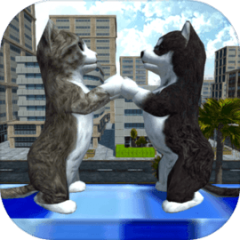 Cute Cat And Puppy World