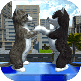 Cute Cat And Puppy World