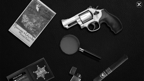 Chicken Police Officer Crime City-> Criminal Cases