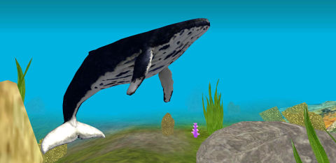 Blue Whale Survival Challenger