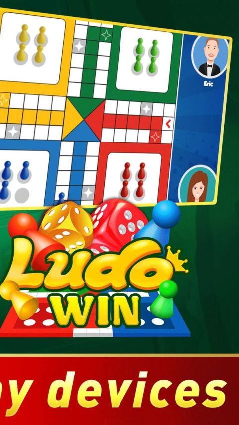 Ludo Win-multiplayer ludo game