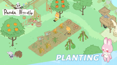 Panda Noodle (Test Global)