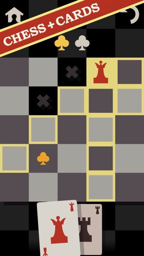 Chess Ace Puzzle