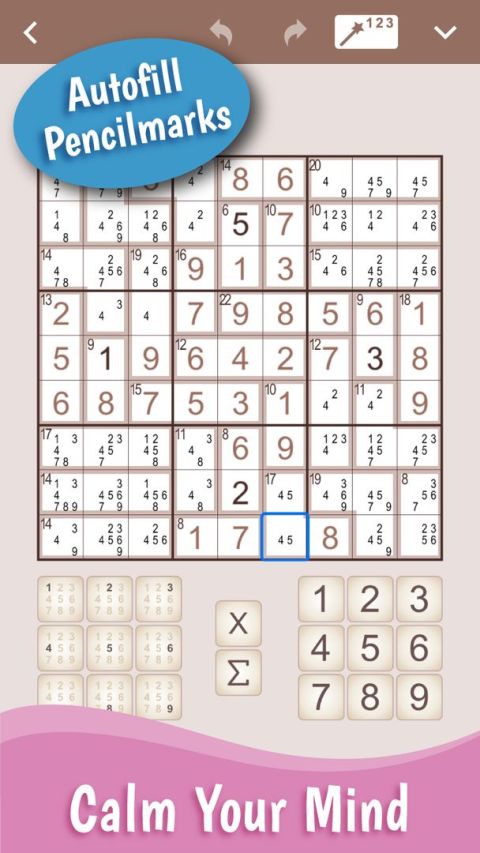 Conceptis SumSudoku