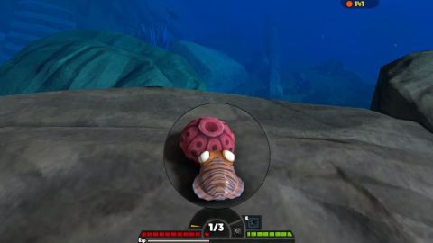 Hints for fish feed and grow