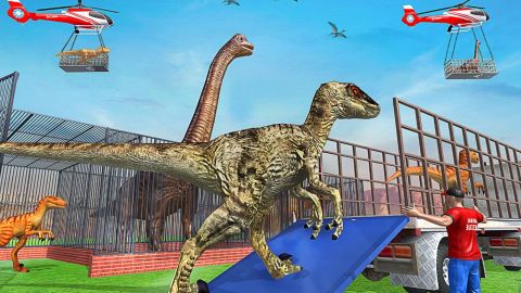 Animal Transport: Truck Game