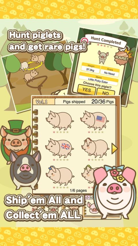 PIG FARM MIX