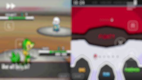 white nds (emulator)