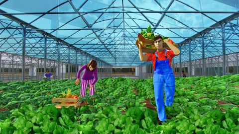 Tractor Driving Simulator 16